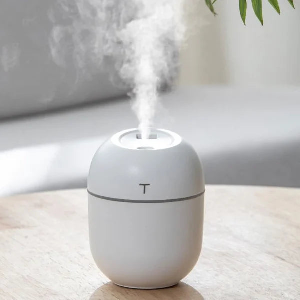 250ml Portable USB Mini Air Humidifier – Cool Mist Diffuser for Home, Office & Car